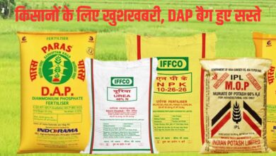 केंद्र सरकार ने IFFCO डीएपी उर्वरक पर मिलने वाली सब्सिडी को बढ़ाया