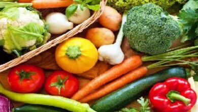 Vegetables Farming: सितंबर के महीने में बोई जाने वाली यह सब्जियां, बेहतर होगी कमाई