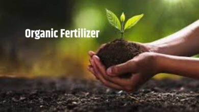 Organic Fertilizer: जैव उर्वरक भूमि उत्पादकता बढ़ाते हैं