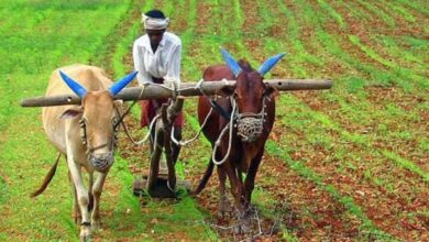 Mp Indore Best Farmer Award: आत्मा परियोजना अंतर्गत सर्वोत्तम कृषक पुरस्कार के लिए आवेदन 15 सितंबर तक आमंत्रित
