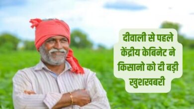 किसानों को दिवाली गिफ्ट, गेहूं, चना, मसूर, सरसों की एमएसपी बढ़ाई