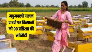 मधुमक्खी पालन करने पर किसानों को 90 प्रतिशत की सब्सिडी