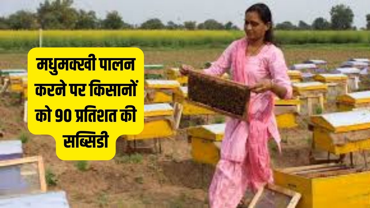 मधुमक्खी पालन करने पर किसानों को 90 प्रतिशत की सब्सिडी