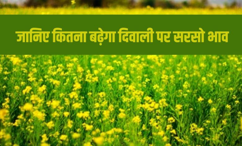 Mustard Price: जानिए कितना बढ़ेगा दिवाली पर सरसो भाव