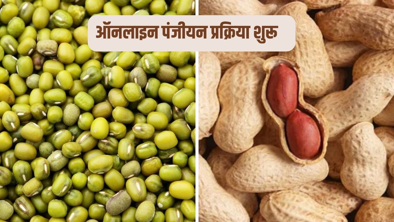 मूंग और मूंगफली की खरीद के लिए ऑनलाइन पंजीकरण शुरू