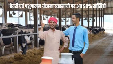 डेयरी एवं पशुपालन योजना व्यवसायों पर 90% सब्सिडी