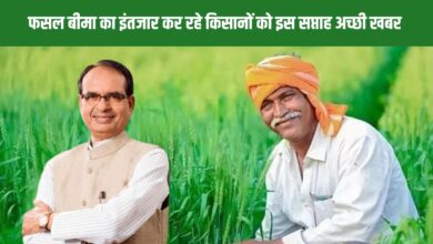 मप्र :प्रधानमंत्री फसल बीमा योजना