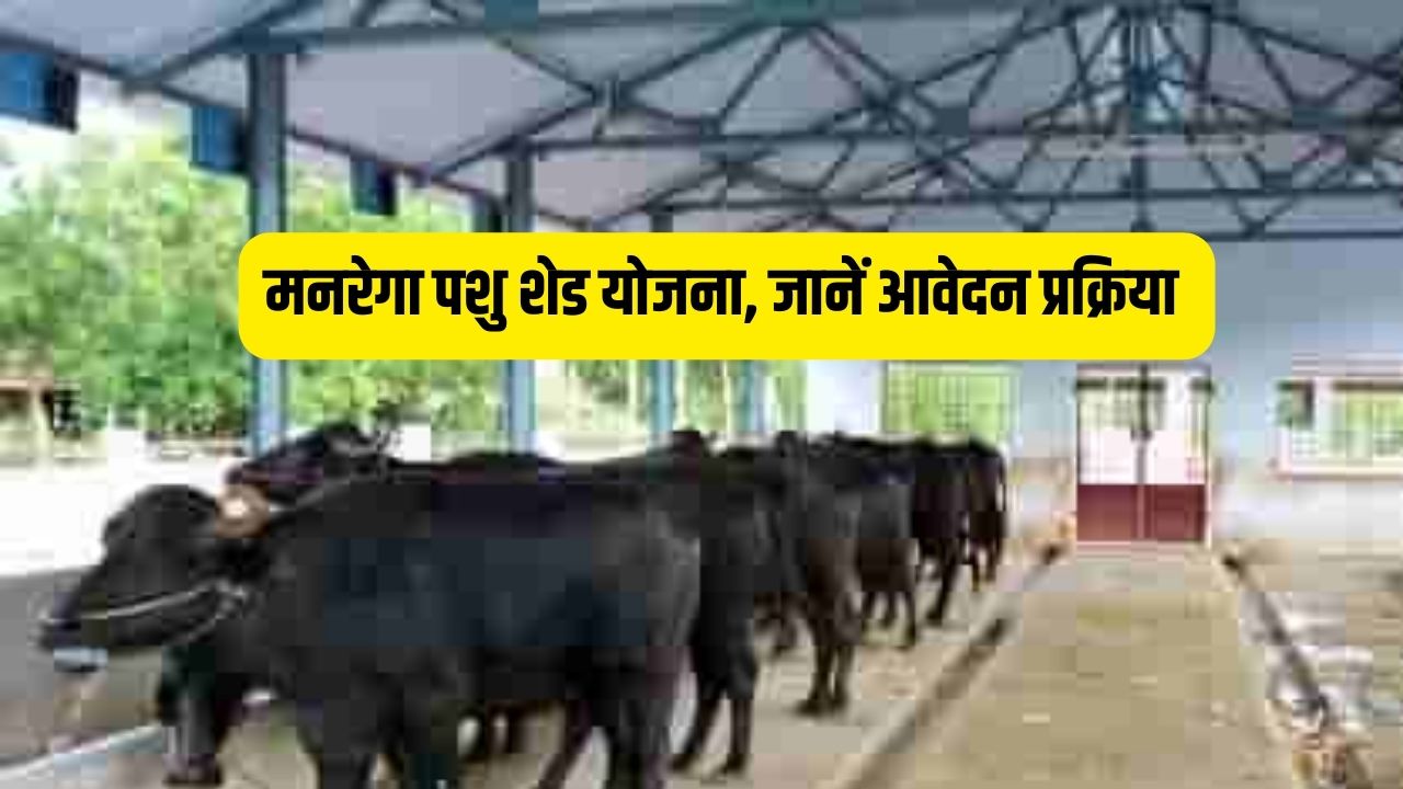 मनरेगा पशु शेड योजना