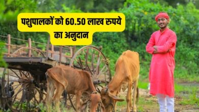 पशुपालक किसानों के लिए खुशखबरी - सरकार पशुपालकों को 60.50 लाख रुपये का अनुदान देगी