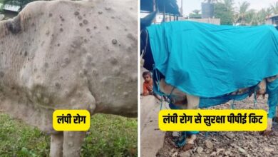 लंपी रोग