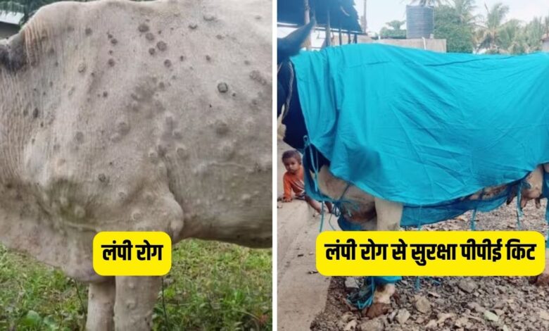 लंपी रोग
