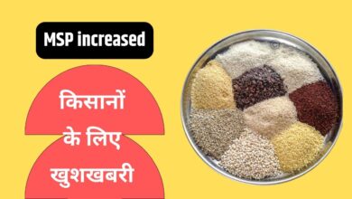 मोटे अनाज की खेती करने वाले किसानों के लिए खुशखबरी, समर्थन मूल्य बढ़ा