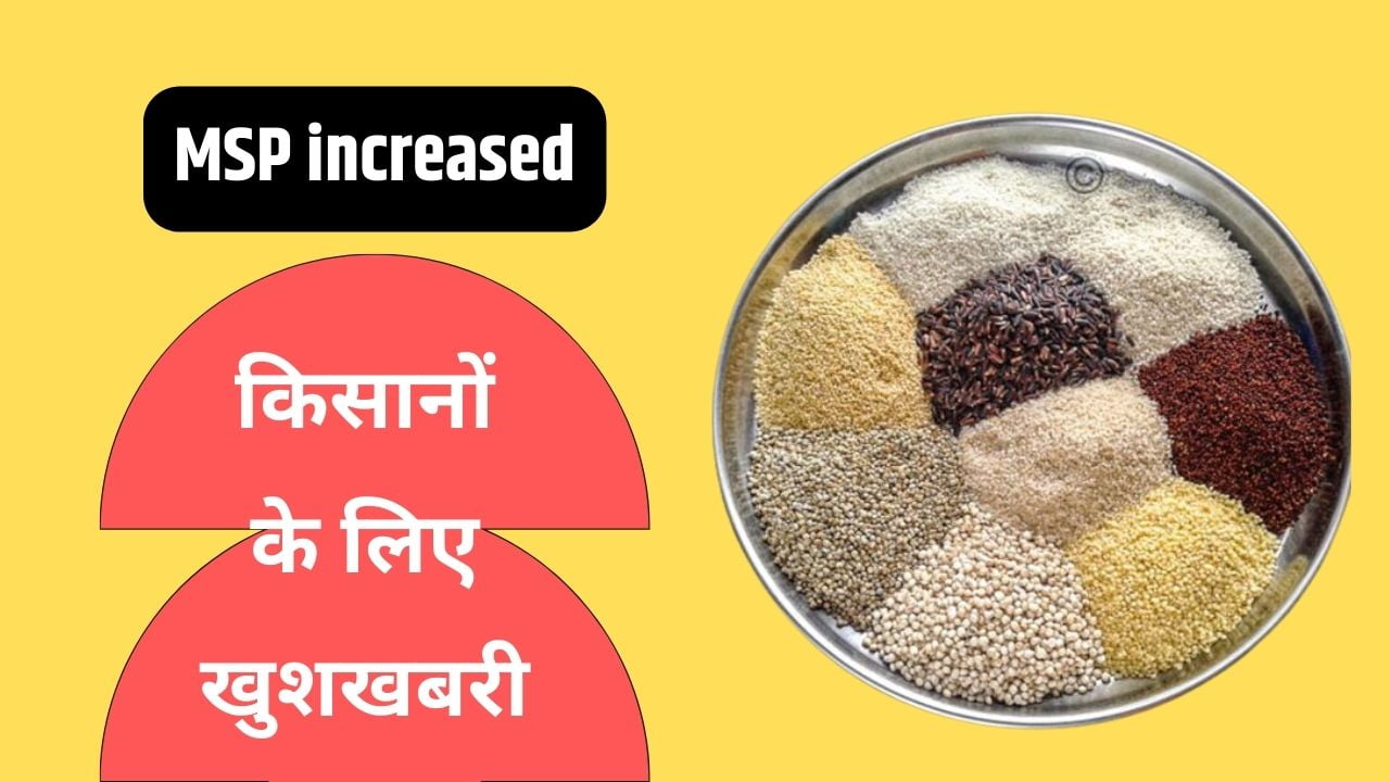 मोटे अनाज की खेती करने वाले किसानों के लिए खुशखबरी, समर्थन मूल्य बढ़ा