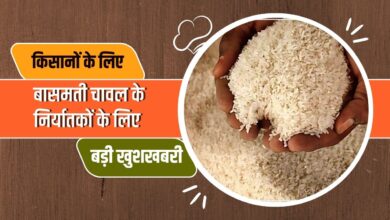 बासमती चावल के निर्यातकों को सरकार ने दी बड़ी राहत