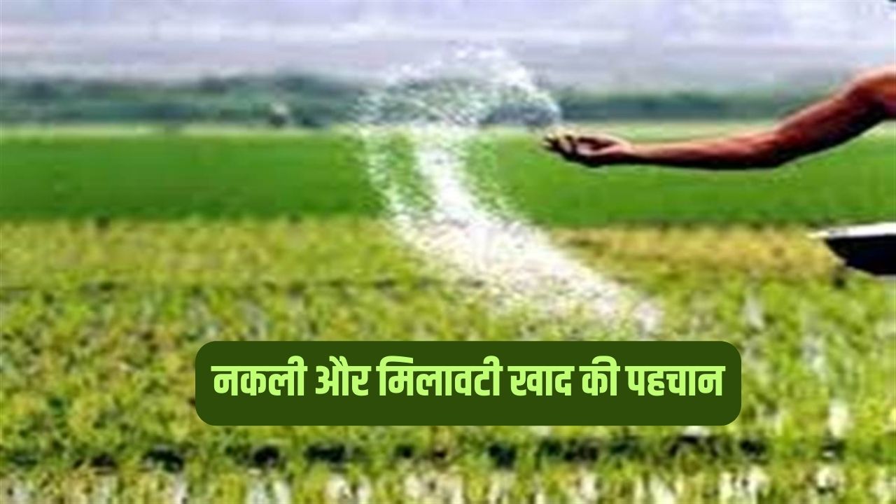 नकली और मिलावटी खाद की ऐसे करें पहचान – जानिए सरल तरीका