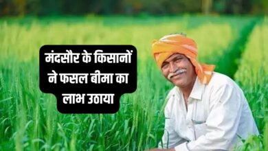मंदसौर के किसानों ने फसल बीमा का लाभ उठाया