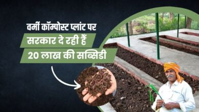 वर्मी कॉम्पोस्ट सब्सिडी