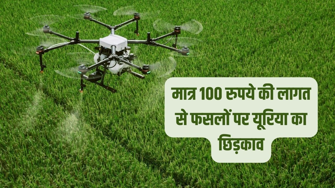नई सरकारी योजना: 100 रुपये में फसलों पर यूरिया का छिड़काव