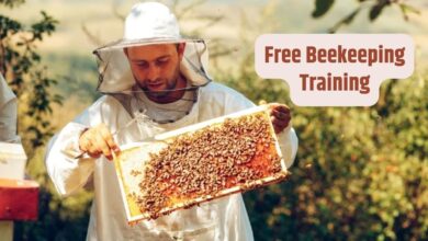 निःशुल्क मधुमक्खी पालन प्रशिक्षण