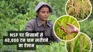 MSP पर किसानों से 40,000 टन धान खरीदने का ऐलान