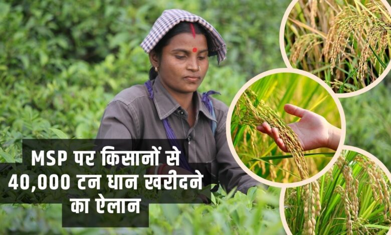 MSP पर किसानों से 40,000 टन धान खरीदने का ऐलान