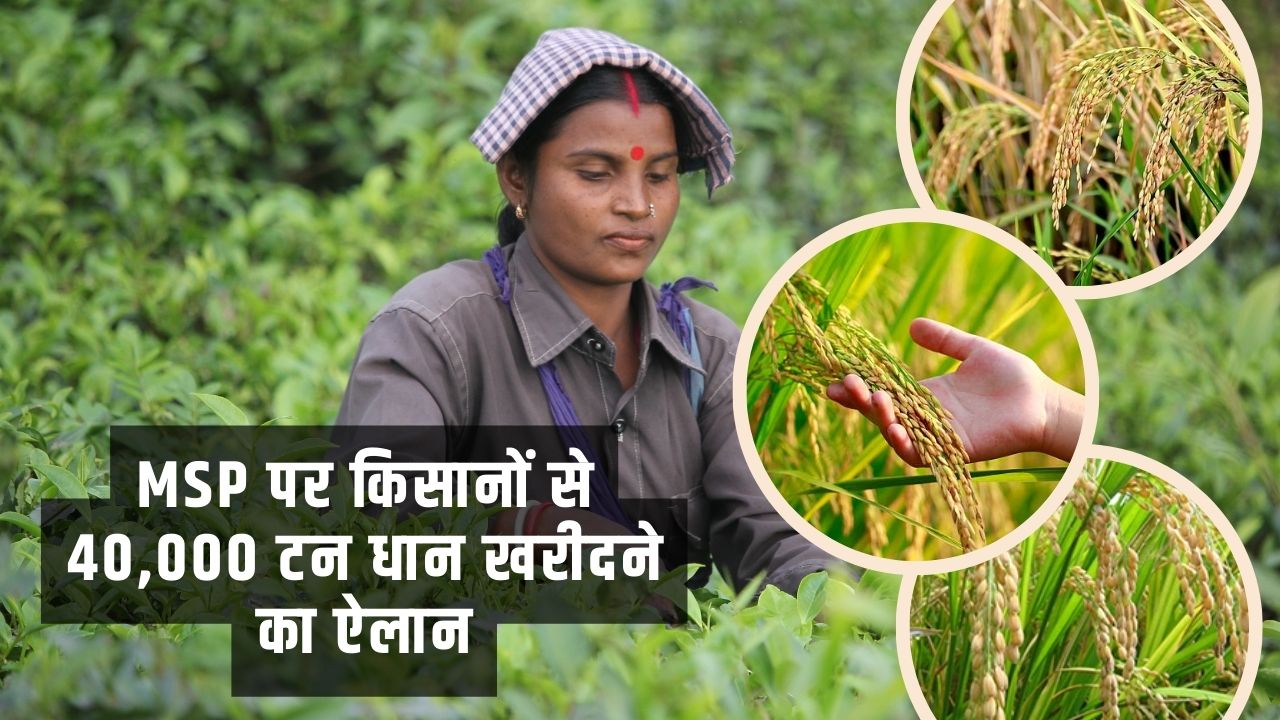 MSP पर किसानों से 40,000 टन धान खरीदने का ऐलान