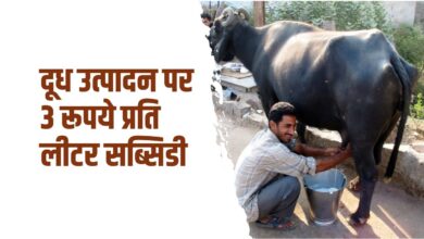 दूध पर सब्सिडी के लिए 10 करोड़ रुपए की योजना को मंजूरी दी गई