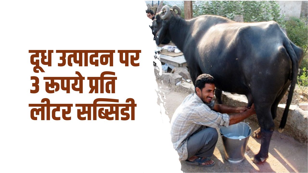 दूध पर सब्सिडी के लिए 10 करोड़ रुपए की योजना को मंजूरी दी गई