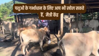 पशुओं के गर्भाधान के लिए आप भी खोल सकते हैं मैत्री केंद्र