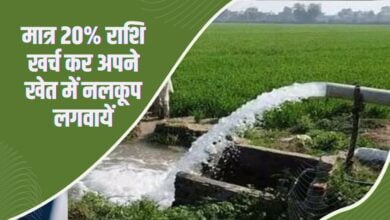 किसानों को नलकूप लगाने पर मिलेगी 80 फीसदी सब्सिडी