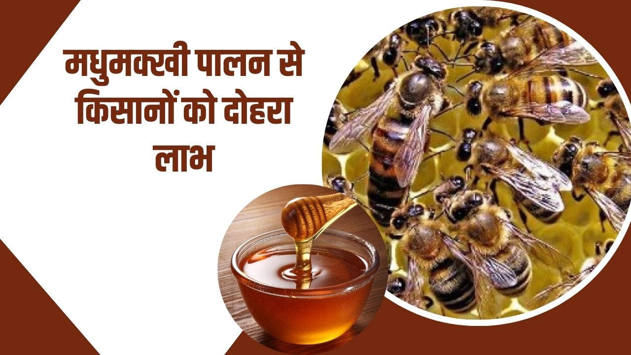 मधुमक्खी पालन से किसानों को होगा डबल फायदा