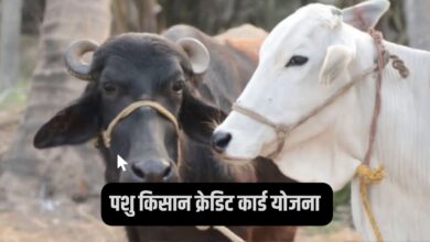 पशु किसान क्रेडिट कार्ड योजना 2024