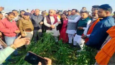 MP NEWS: अभी हुई ओलावृष्टि का मुआवजा देगी सरकार