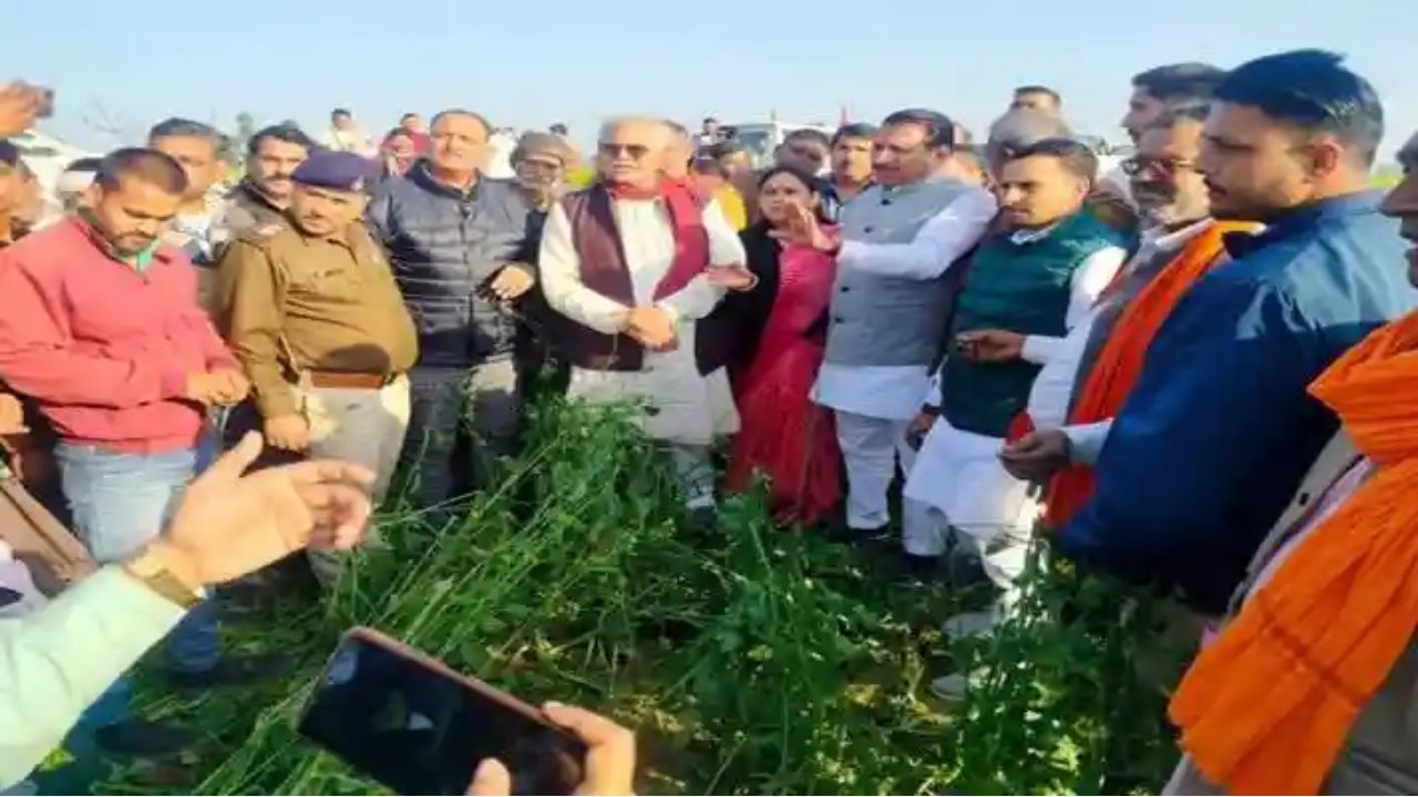 MP NEWS: अभी हुई ओलावृष्टि का मुआवजा देगी सरकार