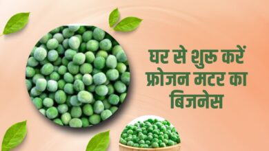 फ्रोजन मटर का बिजनेस