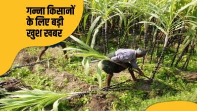 गन्ना किसानों के लिए बड़ी खुशखबरी