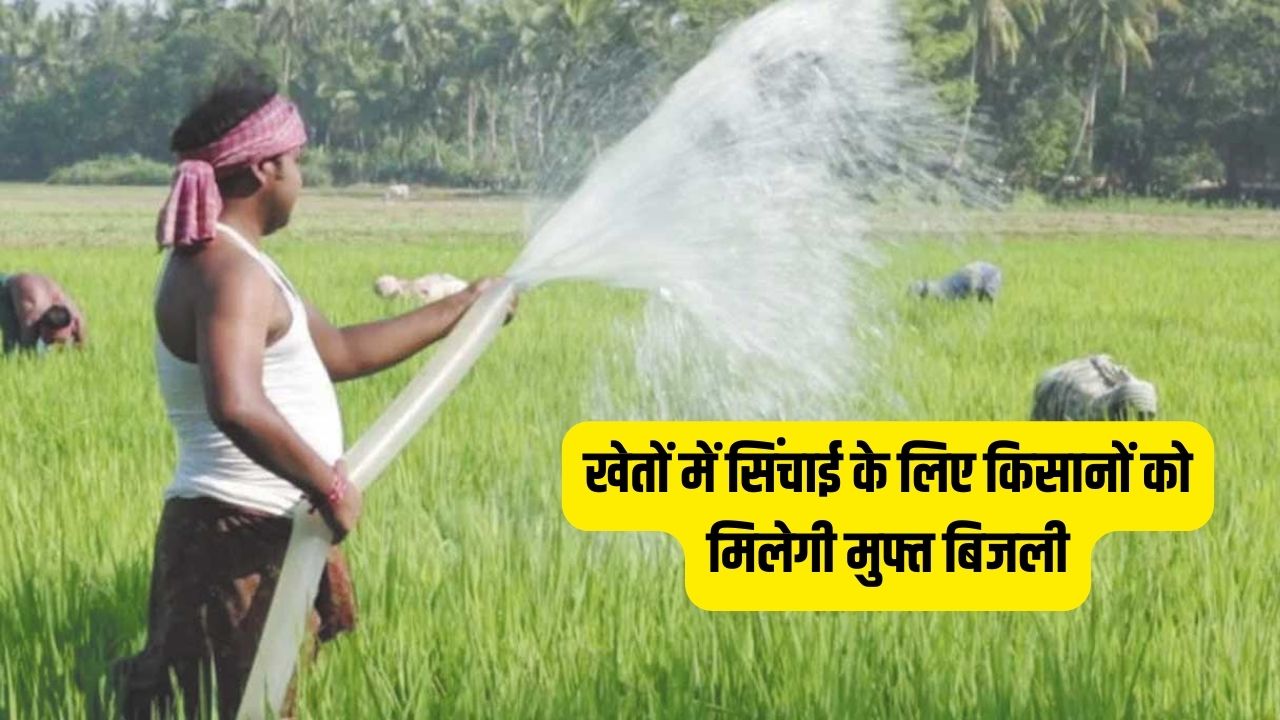 खेतों में सिंचाई के लिए किसानों को मिलेगी मुफ्त बिजली