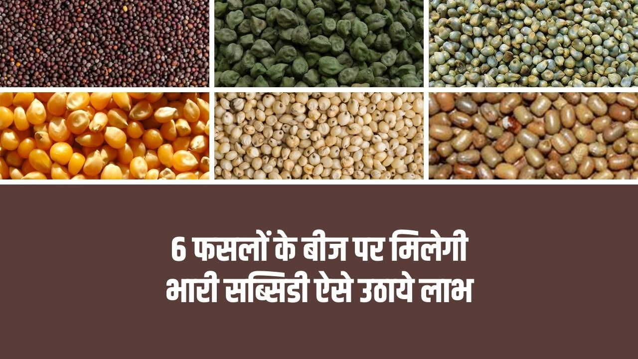 6 फसलों के बीज पर मिलेगी भारी सब्सिडी