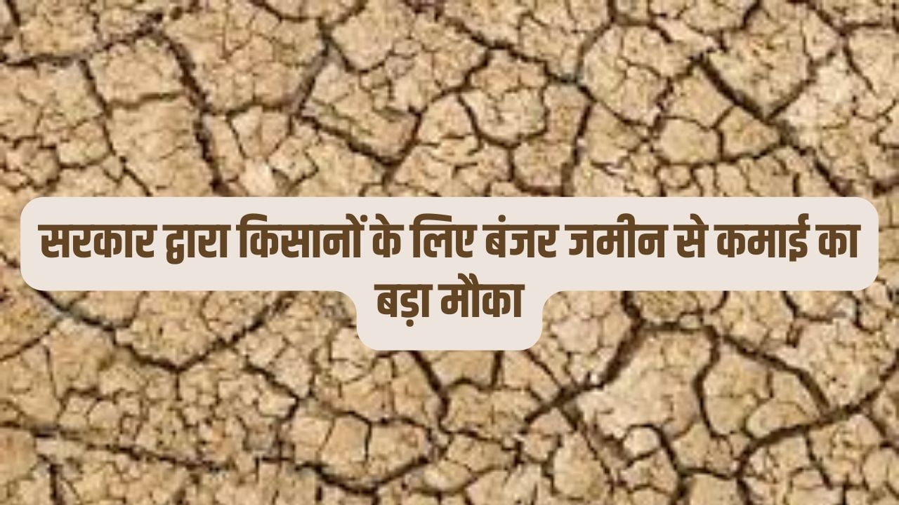 प्रधानमंत्री कृषि सिंचाई योजना: सरकार दे रही किसानों को बंजर जमीन पर पैसा कमाने का मौका
