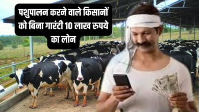 डेयरी फार्म लोन योजना: अब पशुपालकों को मिलेगा 10 साल तक का लोन, ऐसे करें आवेदन