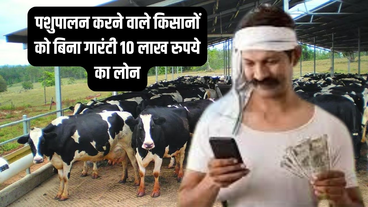 डेयरी फार्म लोन योजना: अब पशुपालकों को मिलेगा 10 साल तक का लोन, ऐसे करें आवेदन