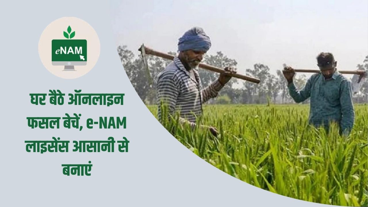 घर बैठे ऑनलाइन फसल बेचें, e-NAM लाइसेंस आसानी से बनाएं