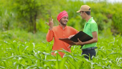 फसल गिरदावरी