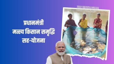 प्रधानमंत्री मत्स्य किसान समृद्धि सह-योजना (1) (1)