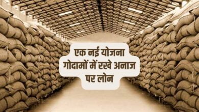 किसानों को मोदी सरकार का बड़ा तोहफा, अब किसान गोदामों में रखे अनाज पर लोन ले सकेंगे