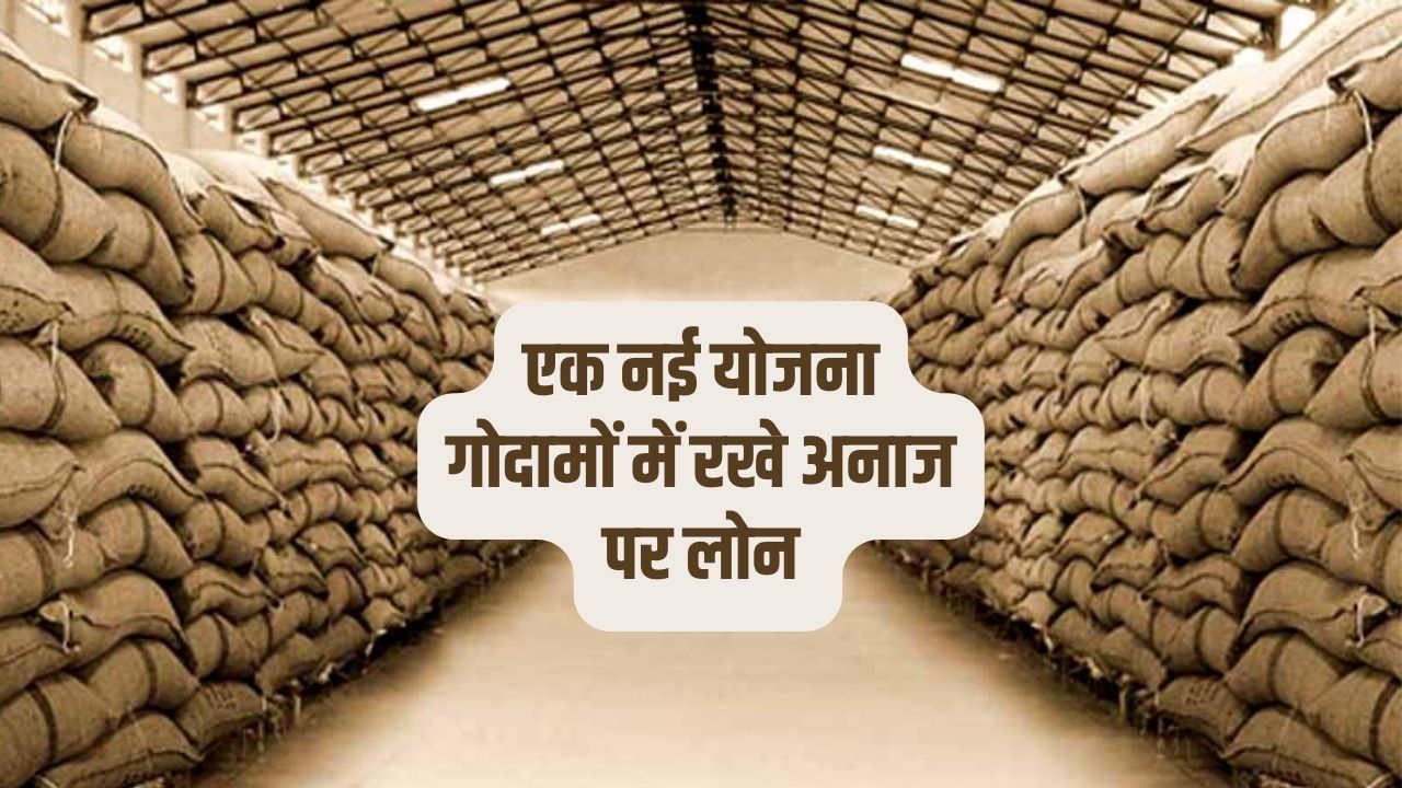 किसानों को मोदी सरकार का बड़ा तोहफा, अब किसान गोदामों में रखे अनाज पर लोन ले सकेंगे