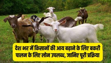 देश भर में किसानों की आय बढ़ाने के लिए बकरी पालन के लिए लोन उपलब्ध