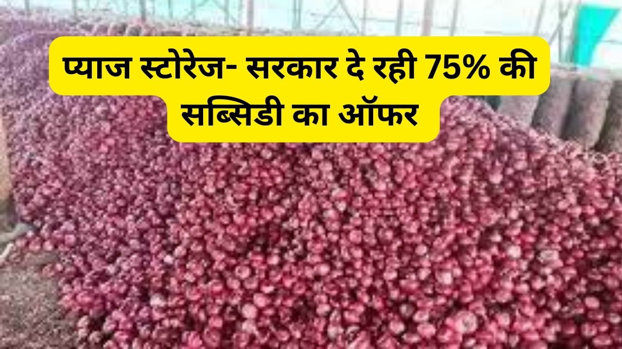 प्याज स्टोरेज बिजनेस आईडिया सब्सिडी
