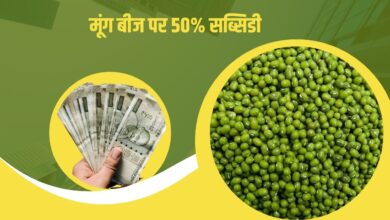 Moong Seed Subsidy: मूंग बीज पर सरकार देगी 50% सब्सिडी