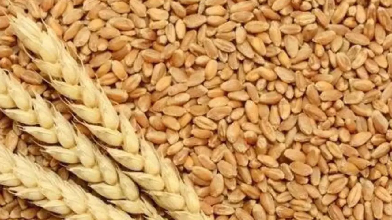 धान किसानों को राहत राशि